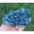 Fluorite Diana Maria Mine - Rogerley M04925